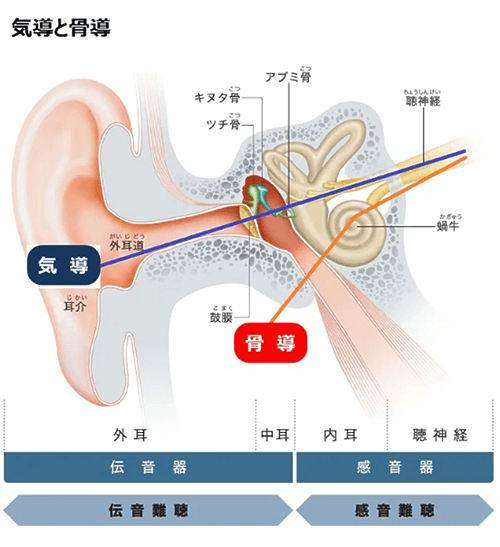 気導と骨導